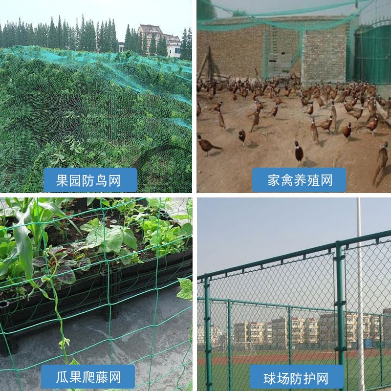 渔网养殖网鸡网捕鱼网围边网护栏网尼龙网防鸟网天顶网爬藤网渔网 50平方米图3
