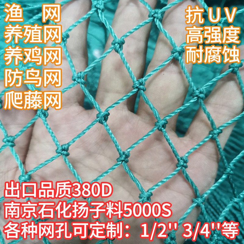 渔网养殖网鸡网捕鱼网围边网护栏网尼龙网防鸟网天顶网爬藤网渔网 50平方米图4