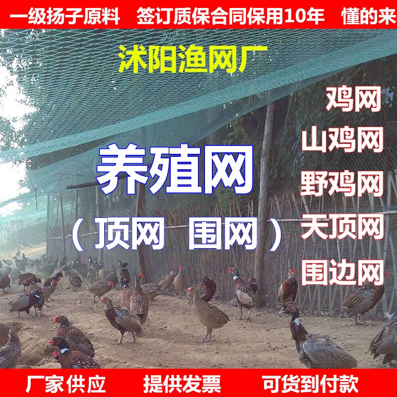 渔网养殖网鸡网捕鱼网围边网护栏网尼龙网防鸟网天顶网爬藤网渔网 50平方米图2