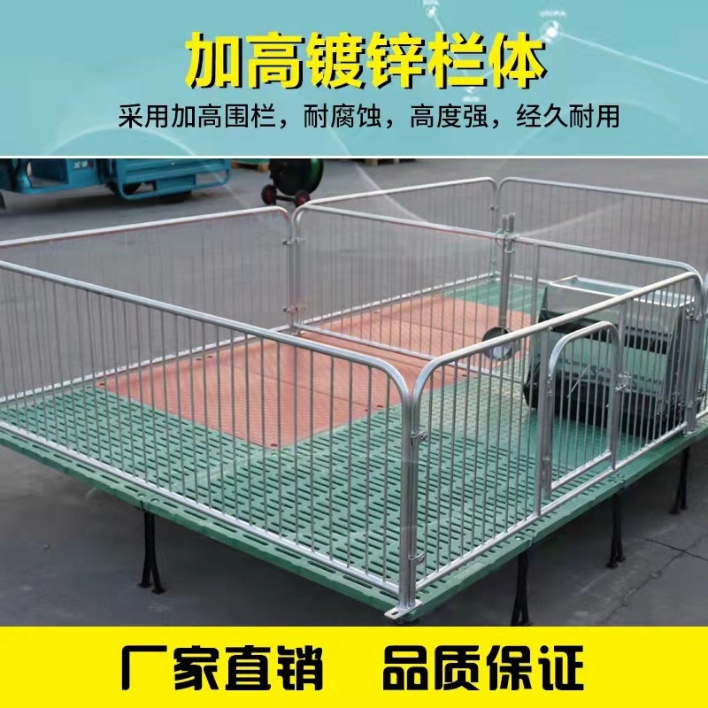2.5热镀锌管保育床 全复合板小猪保育栏 加高仔猪保育产床图3