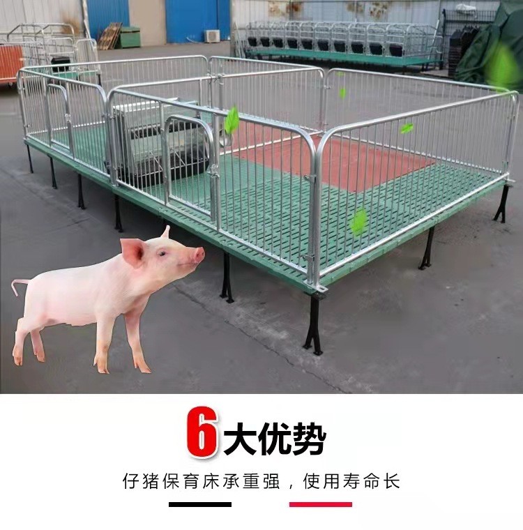 2.5热镀锌管保育床 全复合板小猪保育栏 加高仔猪保育产床图2