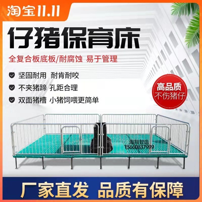 2.5热镀锌管保育床 全复合板小猪保育栏 加高仔猪保育产床图4