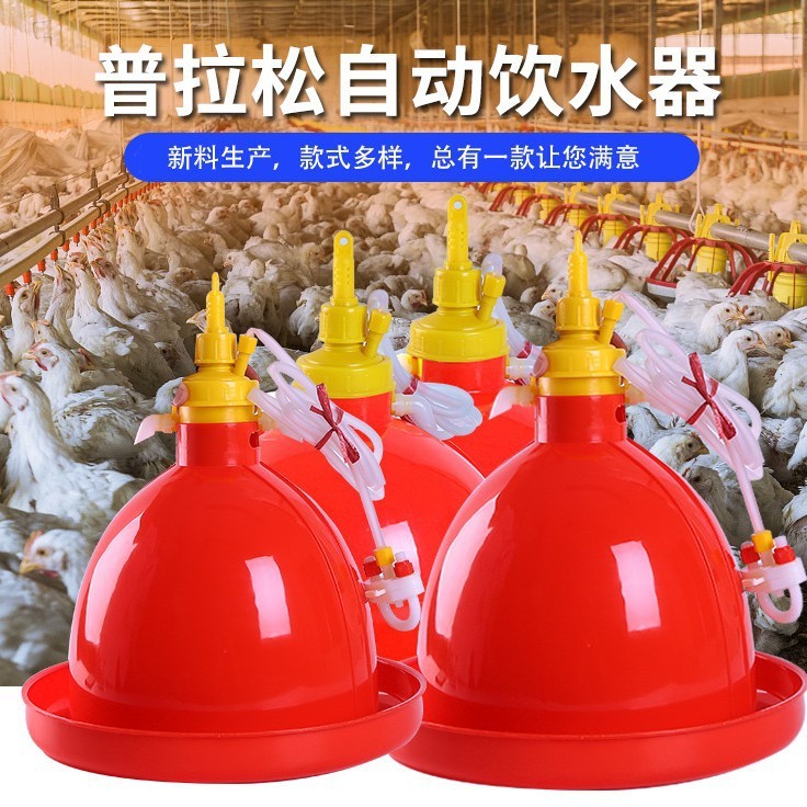 养鸡禽用自动饮水器饮水壶广式普拉松鸡鸭鹅喂水器畜禽养殖鸡喝水 10套图5