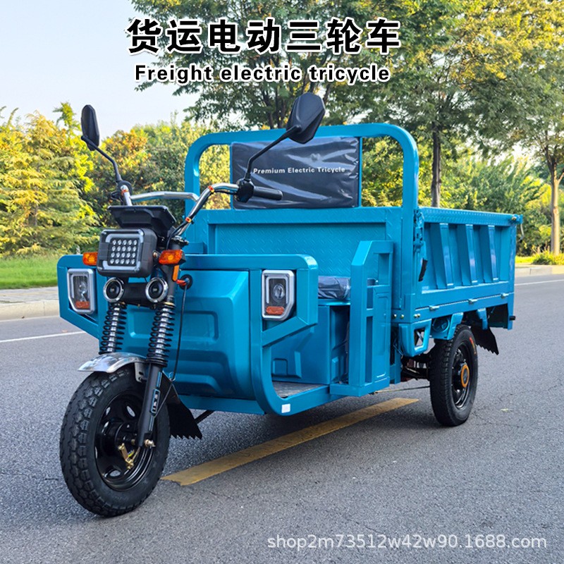 电动三轮车外贸出口家用代步车拉货农用货运车大功率电瓶车载重王图2