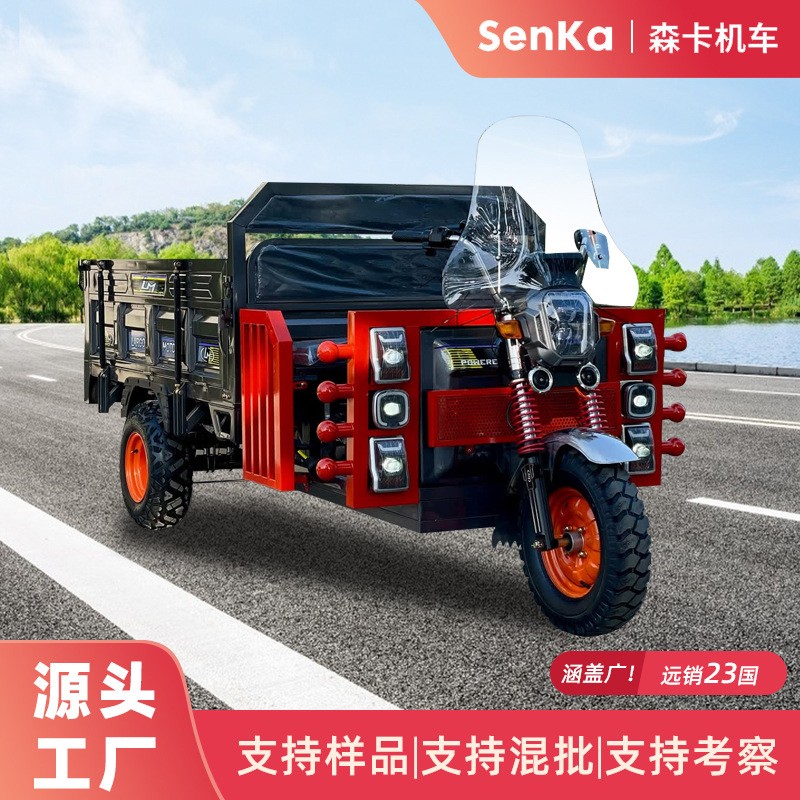 电动三轮车拉货农用家用爬坡载重货车农场运输tricycle三蹦子出口图2