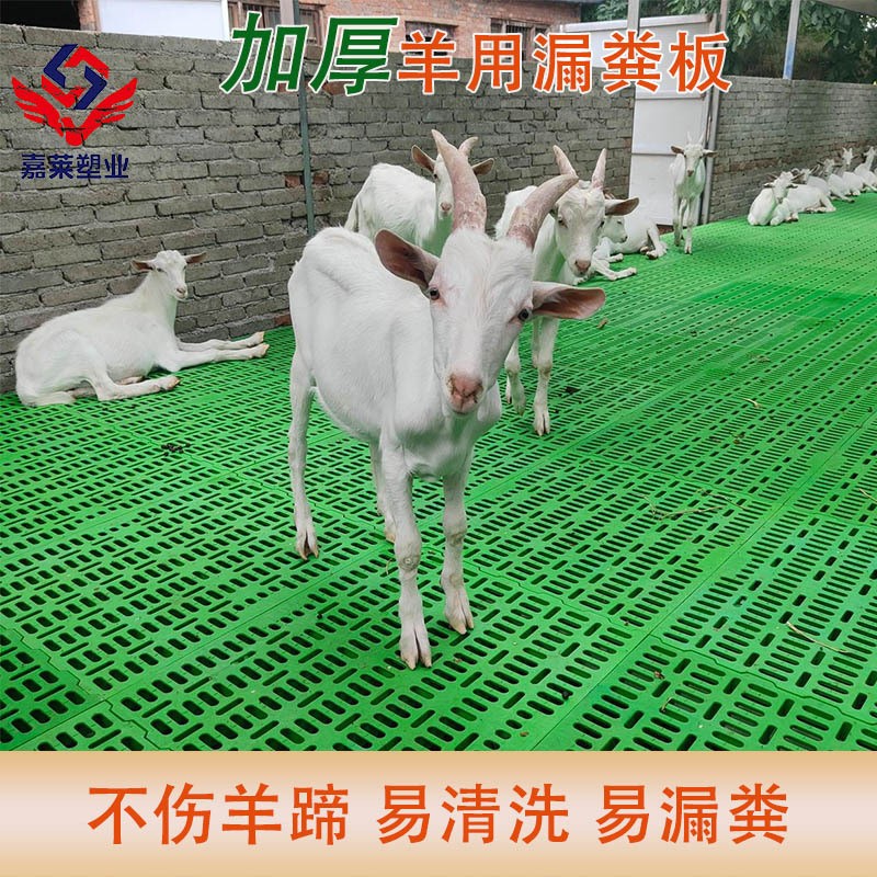羊用漏粪板塑料羊漏粪板养殖用羊舍地板塑料板养羊兽用加厚猪羊场 30件图5