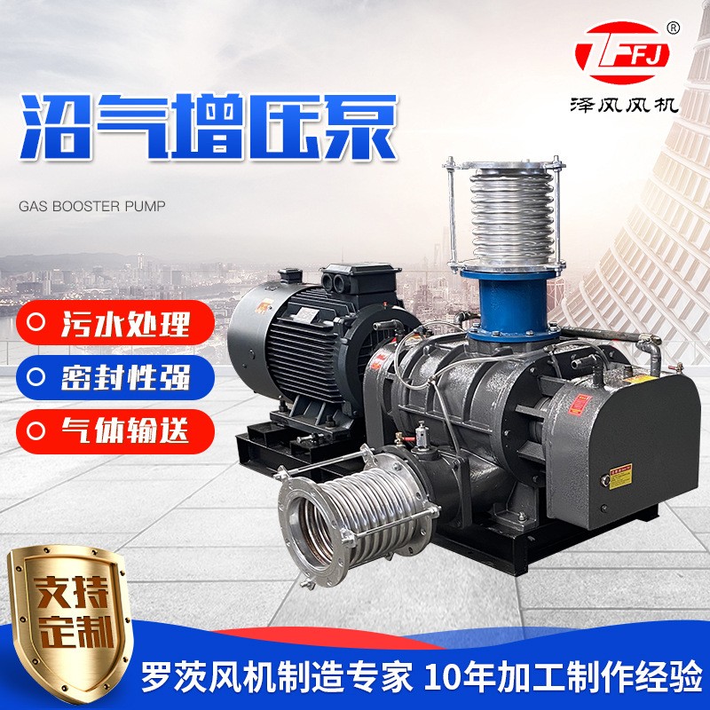罗茨鼓风机增氧曝气特殊气体输送增氧机天然气增压泵氧气鼓风机 定金图4