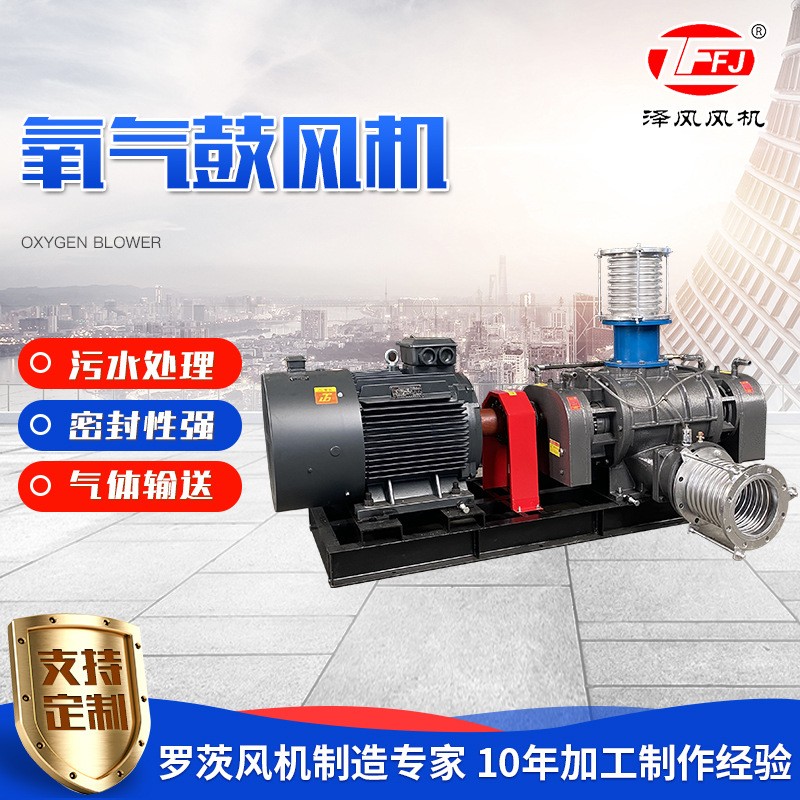罗茨鼓风机增氧曝气特殊气体输送增氧机天然气增压泵氧气鼓风机 定金图5