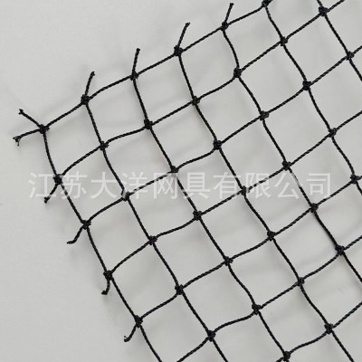 鸟网 供应多规格白丝网粘网挂网 连丝驱防有结聚乙烯谷地拦鸟网