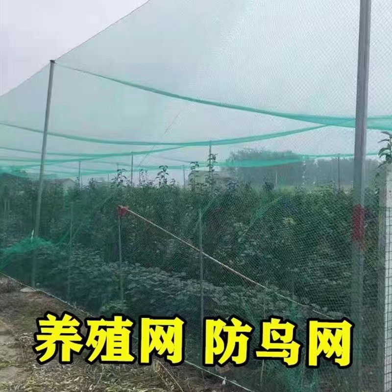 厂家直销防鸟网尼龙网青蛙养殖防逃网牛蛙围网鱼塘池塘泥鳅天网 100件图3