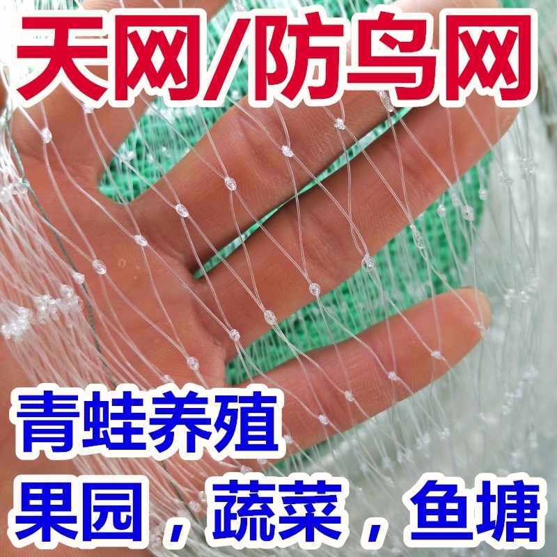 厂家直销防鸟网尼龙网青蛙养殖防逃网牛蛙围网鱼塘池塘泥鳅天网 100件图2