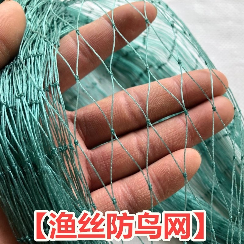 厂家直销防鸟网尼龙网青蛙养殖防逃网牛蛙围网鱼塘池塘泥鳅天网 100件图5