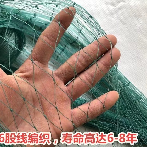 厂家直销防鸟网尼龙网青蛙养殖防逃网牛蛙围网鱼塘池塘泥鳅天网 100件图4