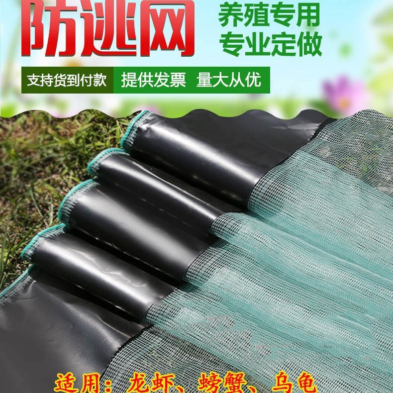 龙虾防逃网螃蟹青蛙泥鳅黄鳝养殖防逃网布小龙虾围网防逃网箱 100件图5