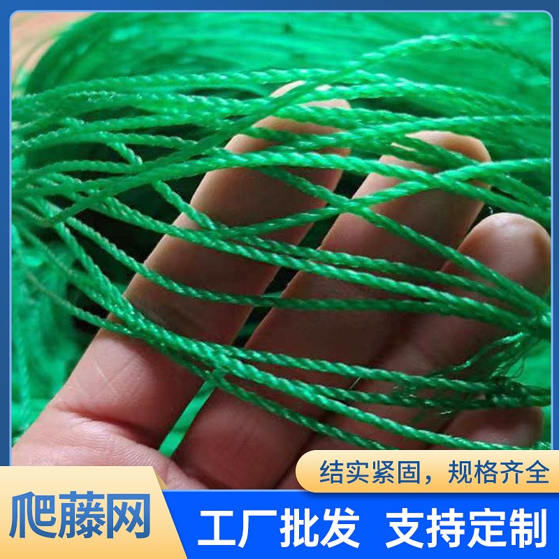 批发植物爬藤网绿色园艺格子网花卉瓜果瓜果豆类种植攀爬定型网图5