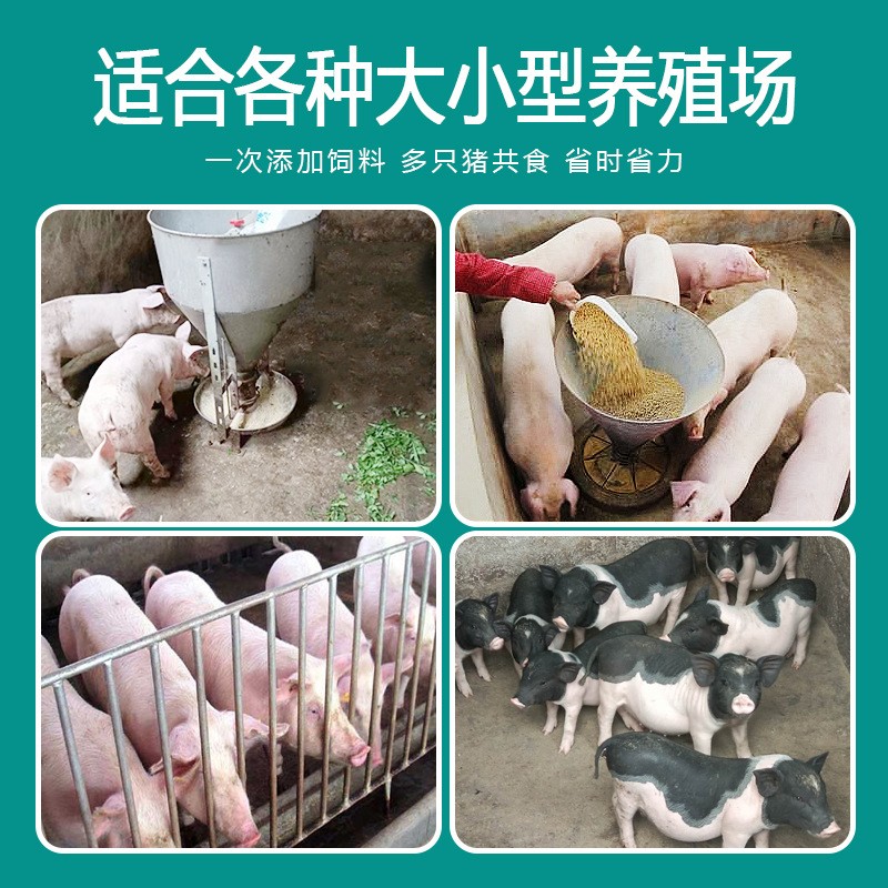猪槽干湿喂料器自动下料器猪食槽小猪料槽猪料槽育肥料槽养猪设备图3