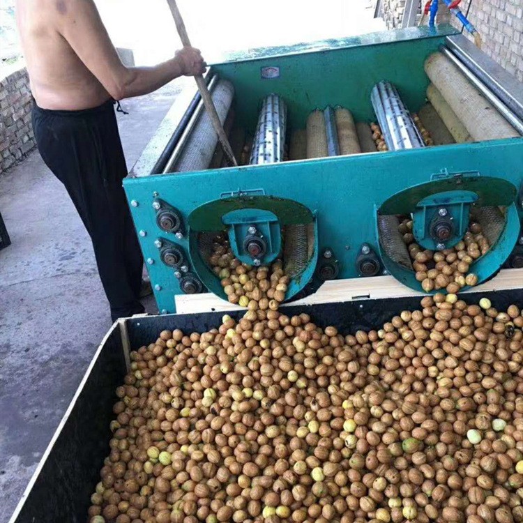青核桃去皮机大型全自动鲜核桃剥皮清洗一体机青皮核桃脱皮机家用图5
