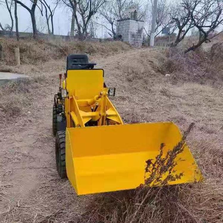 装载小铲车 零排放 电动柴油款装载机 养殖场粮站铲运车图5