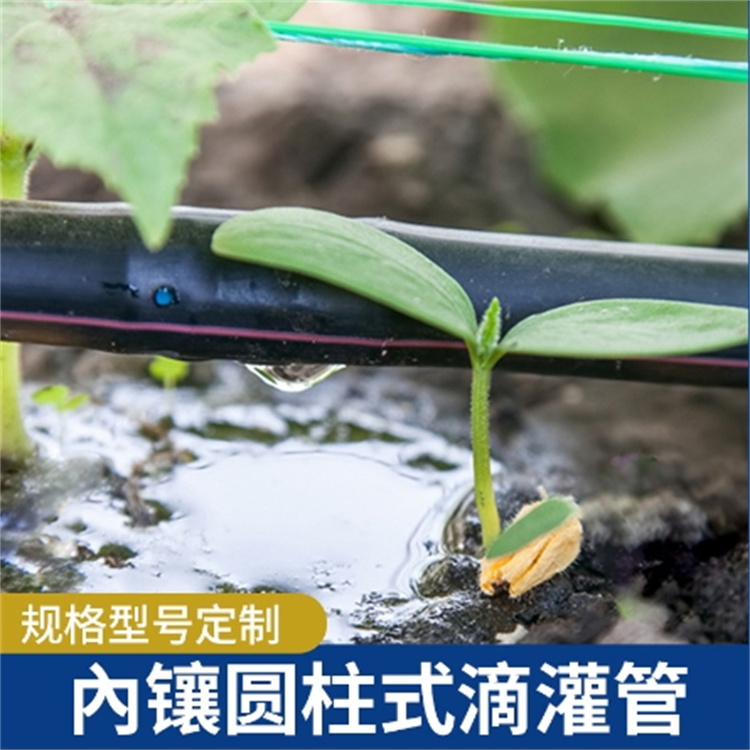 绿园供应滴灌经久耐用浇灌棉花和其他经济作物专业厂家图5