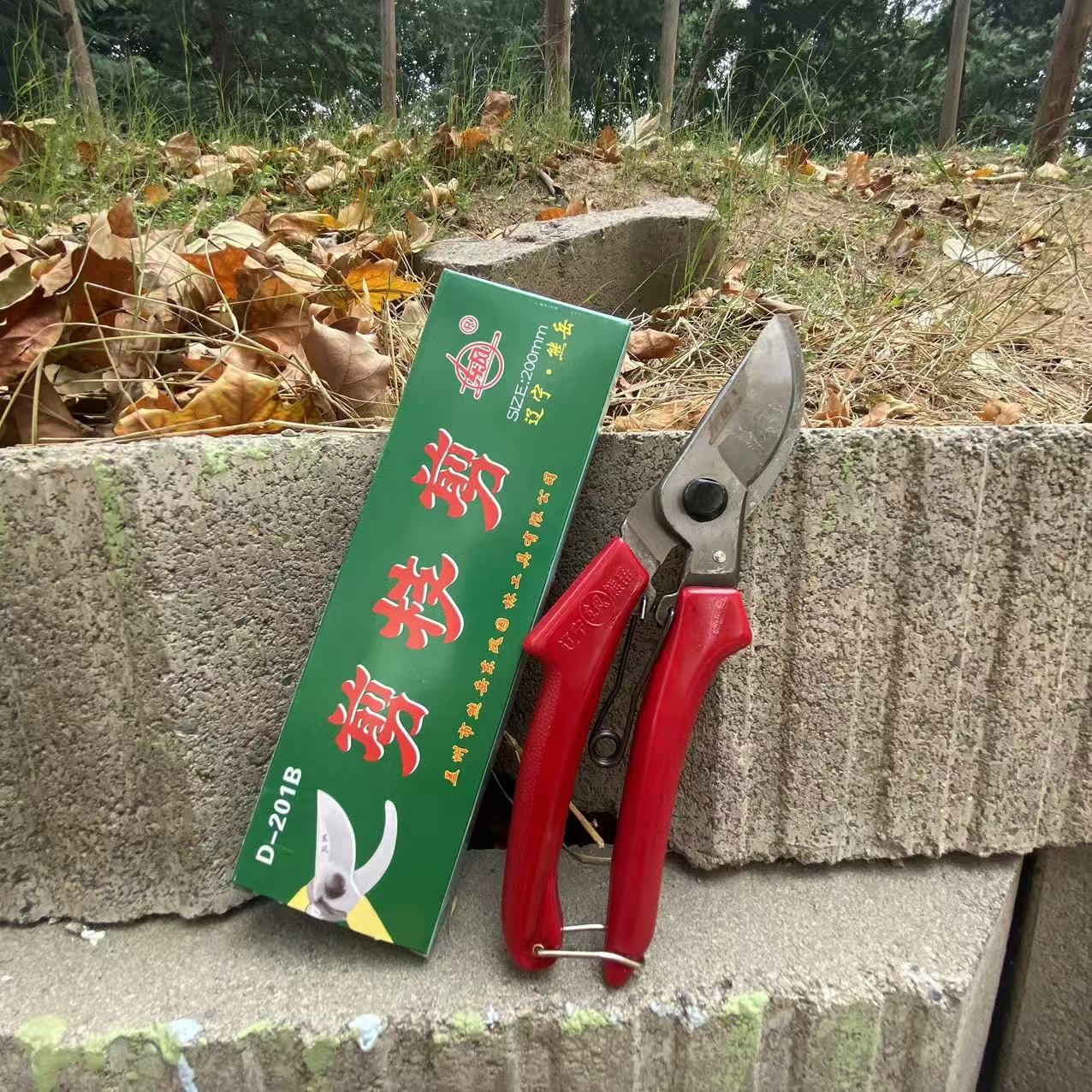 正品辽宁东风熊岳东风剪刀园林修枝粗枝花枝手剪盆景剪刀花枝果图4
