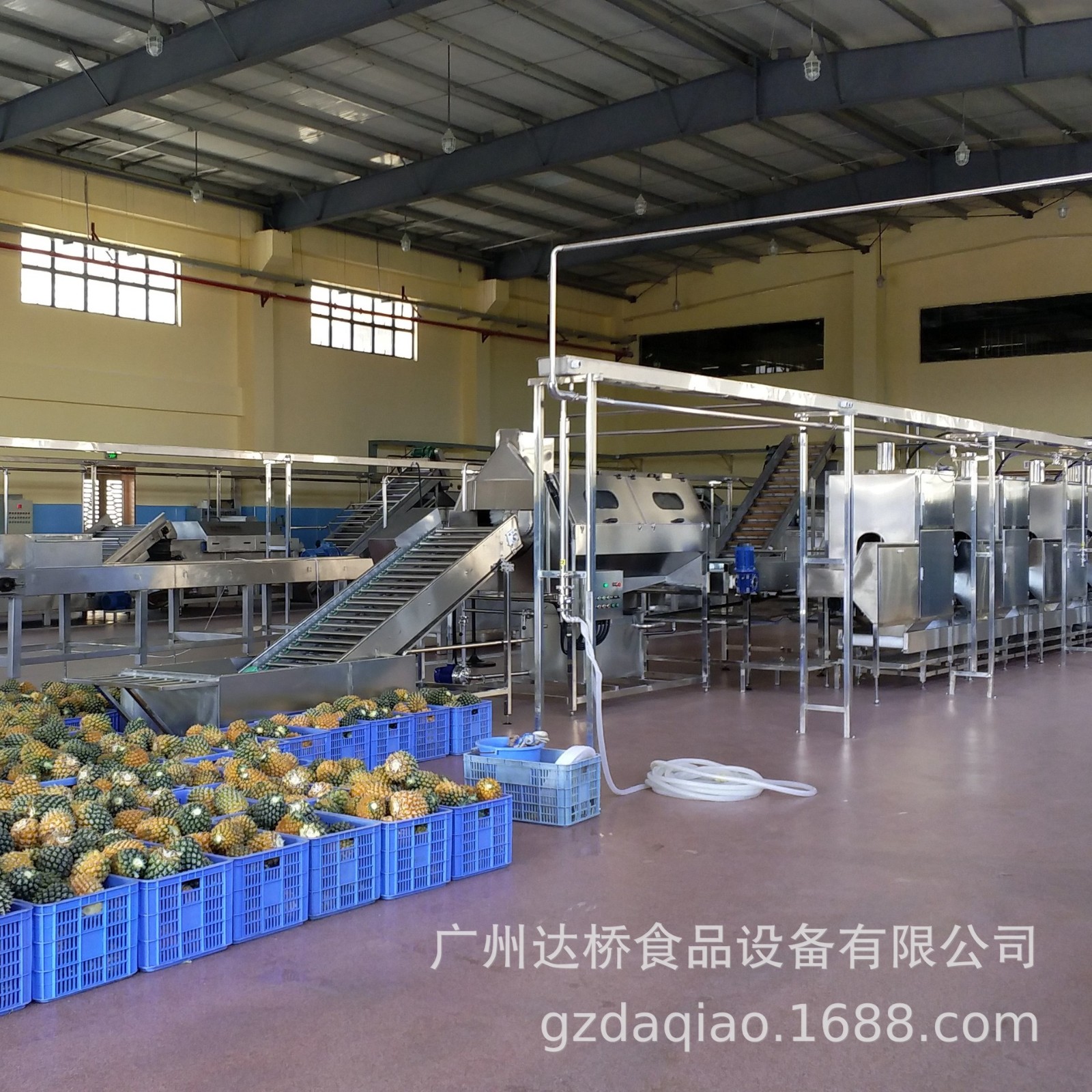 DQ达桥工业型智能化芒果干菠萝罐头等瓜果加工生产线设计解决方案图2