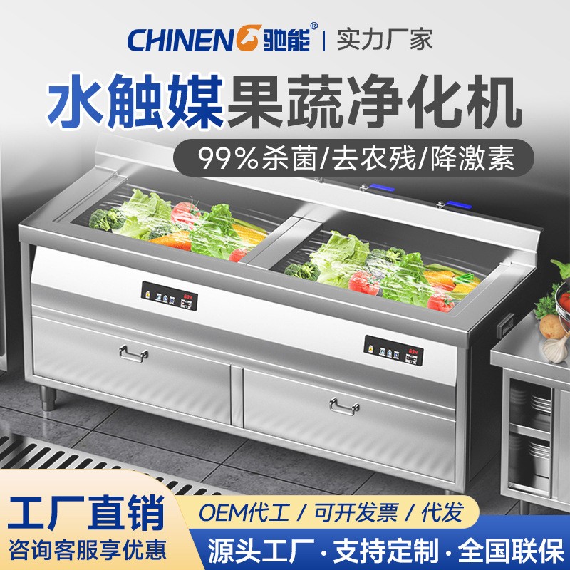 驰能商用嵌入式全自动洗菜机消毒杀菌水触媒去农药果蔬清洗机图5