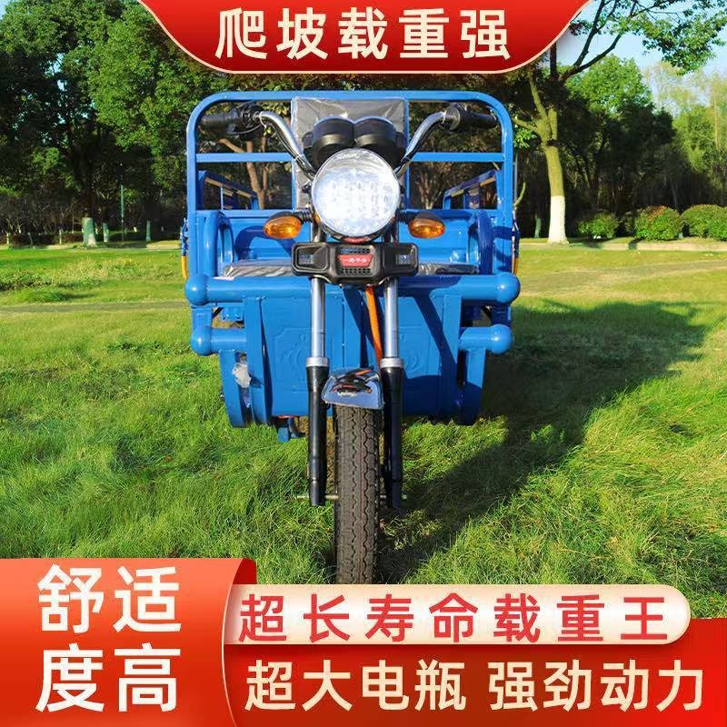 国标电动三轮车三轮车电动新款快递车载重王山区版农用车成人货运图2