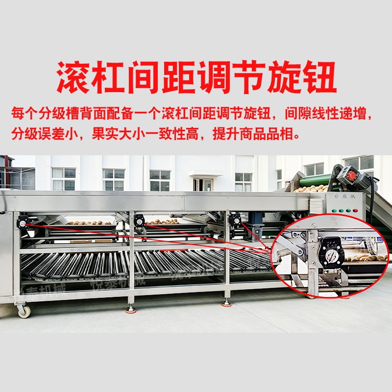 青柠小青柑分级选果机百香果分选机山药蛋红皮薯滚杠大小分拣机图3