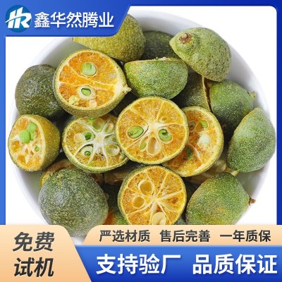 小柑橘山楂低温冷冻干燥设备草莓芒果片柠檬片大型低温真空冻干机