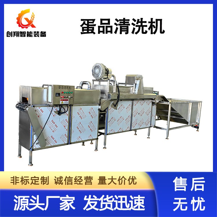 全自动洗蛋机商用鸡蛋鸭蛋清洗设备 养殖场蛋品去污刷洗机图4