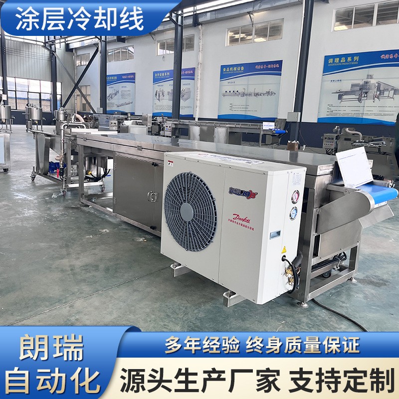 600型全自动淋浆机 威化饼干裹巧克力机 冻干水果巧克力涂层机图4