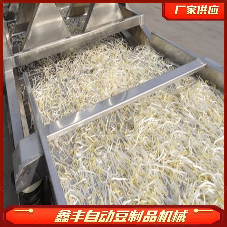 （面议）全自动豆芽机器 循环生产四季均可出菜 商用豆芽机厂家供应图3