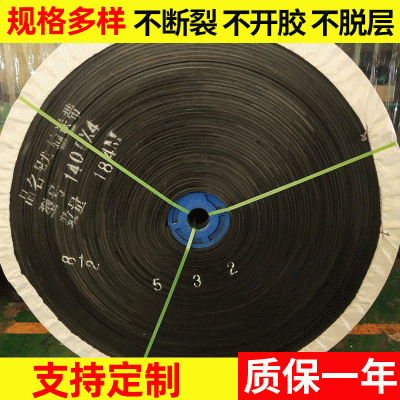 厂家供应 EP200聚酯输送带轻型输送带尼聚酯难燃传送带
