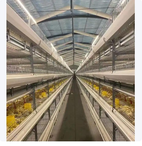养殖鸡笼全自动镀锌鸡舍立式层叠式养鸡设备育雏笼大型鸡场图3