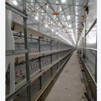 养殖鸡笼全自动镀锌鸡舍立式层叠式养鸡设备育雏笼大型鸡场