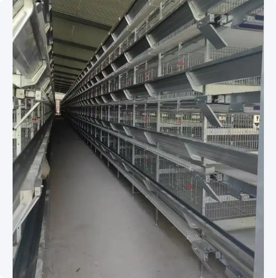 养殖鸡笼全自动镀锌鸡舍立式层叠式养鸡设备育雏笼大型鸡场图5