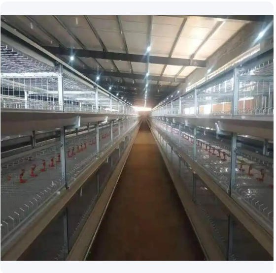 养殖鸡笼全自动镀锌鸡舍立式层叠式养鸡设备育雏笼大型鸡场图4