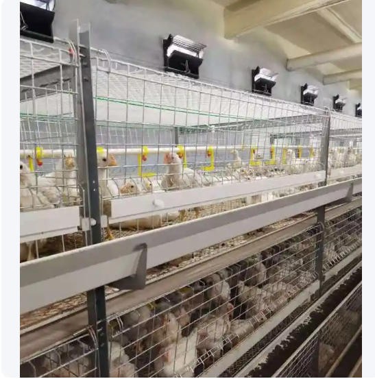 养殖鸡笼全自动镀锌鸡舍立式层叠式养鸡设备育雏笼大型鸡场图2