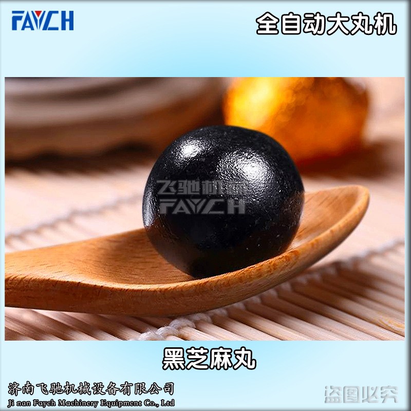 济南飞驰ZW-369S全自动黑芝麻丸机 9克大蜜丸机 自动三辊大丸机图2