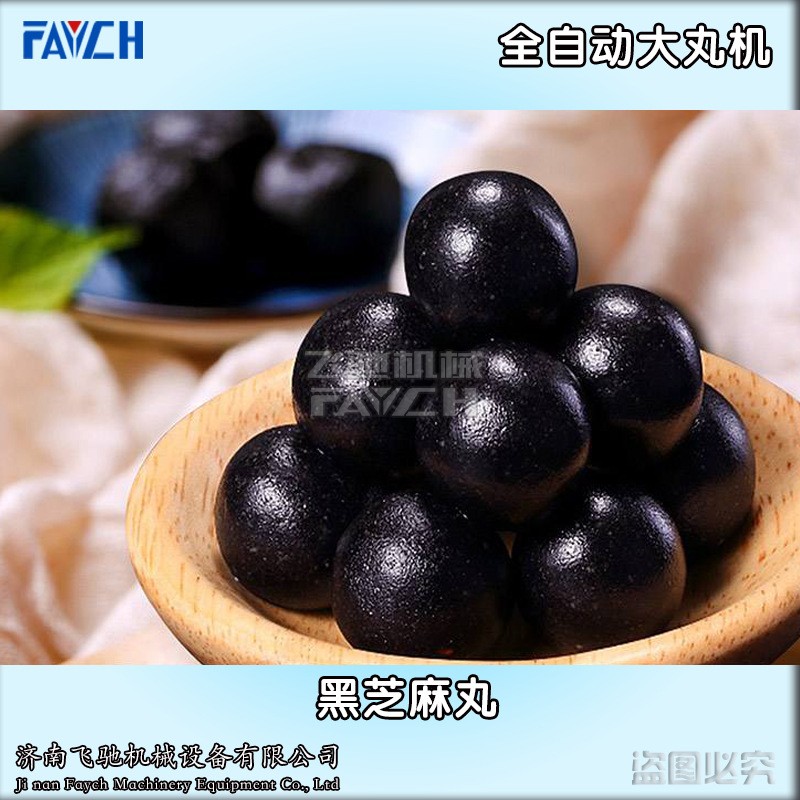 济南飞驰ZW-369S全自动黑芝麻丸机 9克大蜜丸机 自动三辊大丸机图4