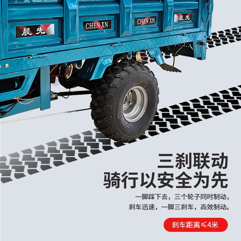 CHENXN电动三轮车载货超强承载力欧美中东海外仓支持代发图2