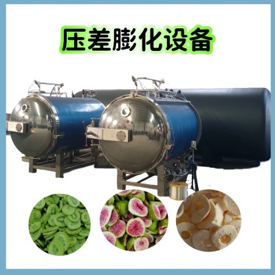 无花果压差膨化机 苹果脆片膨化机草莓膨化机