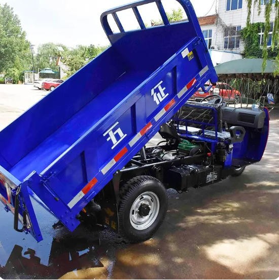 小型柴油三轮自卸车 五征小银虎农村载货三马车图5