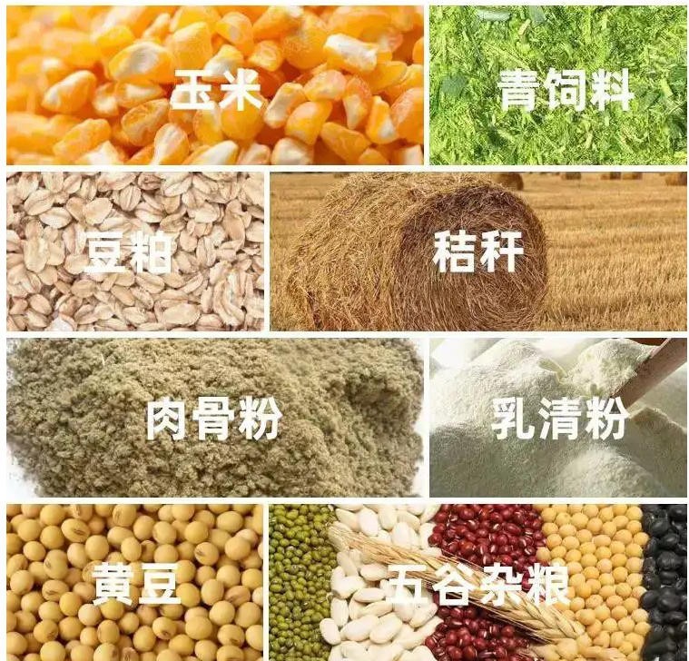 饲料颗粒机家用小型 干湿两用养殖鸡鸭鹅猪鱼牛羊兔220v两相电图4