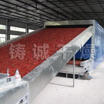 DWT系列脱水蔬菜干燥机 面议