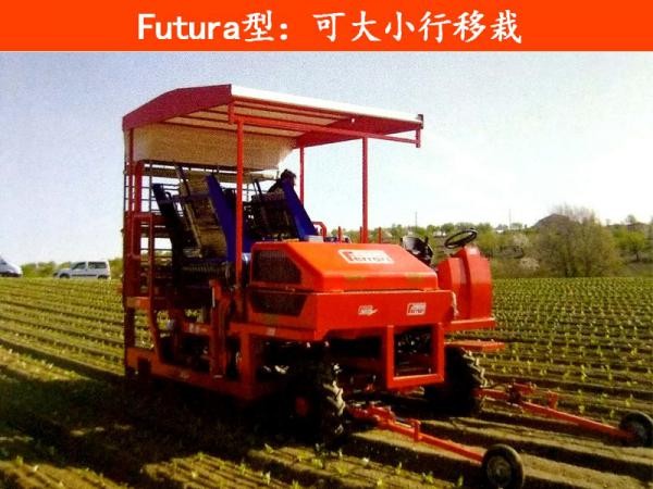法拉利Futura型可大小行移栽图5